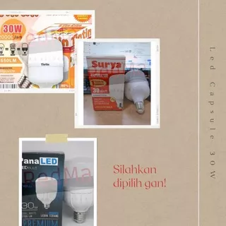 Bohlam Balon Lampu Led Capsule 30W pilih variasi TinTin Surya Panaled semua varian capsul jumbo terang