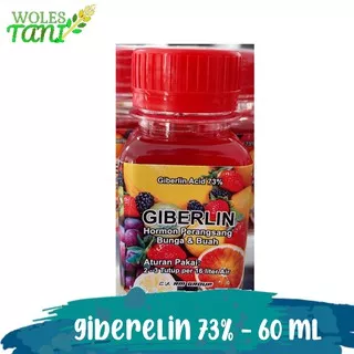 Giberelin Giberellin 60 ml