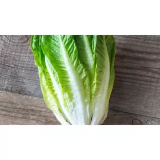 Sayur Segar Selada Romaine / Romaine Lettuce 100gr / 1kg