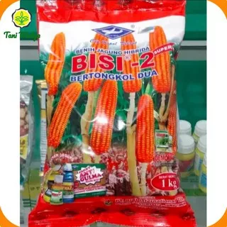 Benih Jagung Hibrida Bisi2 kemasan 1kg bibit jagung bisi 2