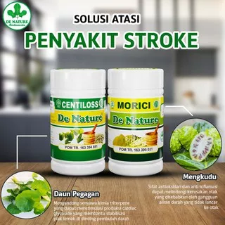 OBAT LUMPUH RINGAN STRUK DE NATURE Obat Stroke Obat Struk Ringan Obat Herbal stroke Obat struk Centilos & Morici De Nature Indonesia