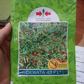 Benih Cabe Rawit Dewata 43 F1 (2250 Benih)