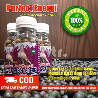 JAMU MERPATI KOLONG DAN BALAP PERFETC ENERGI 100 BUTIR / JAMU MERPATI KOLONG / JAMU MERPATI BALAP