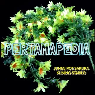 BUNGA JUNTAI POT SAKURA/ Bunga Plastik/ Daun Rambat Plastik/ Rumput Plastik/ Busa Bunga Gabus/ Floral Foam/ Bunga Dekorasi/ Bunga Hiasan/ Bunga Dinding/ Daun Plastik/ Daun Hiasan/ Daun Artificial Tembok Dinding Rumah Toko Kios