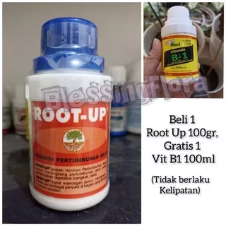 Root Up Penumbuh Akar/ZPT 100gr (BELI 1 ROOT UP 100GR, GRATIS 1 B1 100ML)