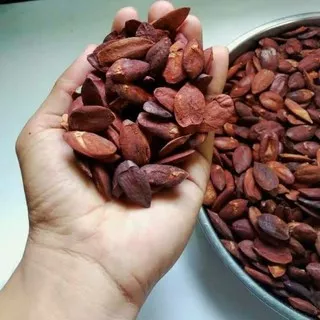 KACANG KENARI KULIT ARI MENTAH TERBARU 1Kg