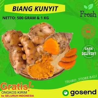 BIANG KUNYIT 500 gram & 1 KG KUNIR SEGAR SUPER FRESH TEMU HUNI STOREONLINETERMURAH DENPASAR BALI