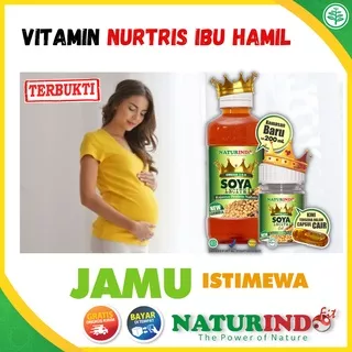 Vitamin Ibu Hamil Dan Menyusui Soya Lechitiy Naturindo