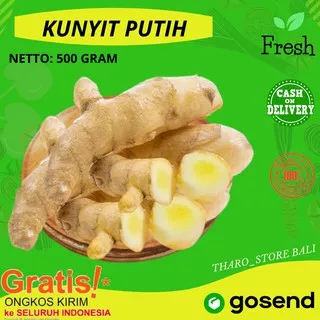 KUNYIT PUTIH SEGAR 500 gram REMPAH  FRESH CURCUMA ZEDOARIA KUNIR PUTIH MANGGA DENPASAR BALI