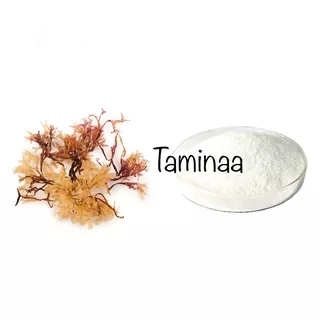 Termurah Carrageenan Eucheuma Cottonii Karagenan Kappa 100 GR