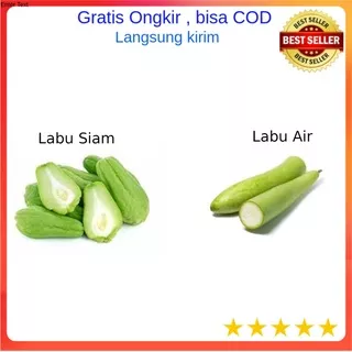 Labu Parang , Labu Siam , Labu Air Per  500 Gram  Sayur Sayuran Segar Fresh Tiap Hari  Kualitas Bagus