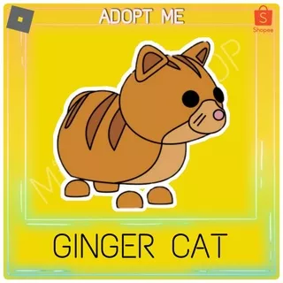 NR, NFR GINGER CAT ADOPT ME