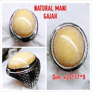 NATURAL BATU MANI GAJAH KAN ASLI NATURAL A5