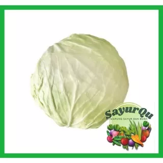 Kol Kubis Fresh 1 kg - Sayur Segar Bekasi