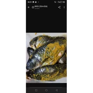 Ikan mas bumbu kuning siap masak / goreng