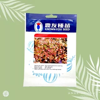 (1 PACK) Benih Selada Keriting Merah Red Rapid Lettuce Seeds  - Known You Seed KYS - 10 GRAM