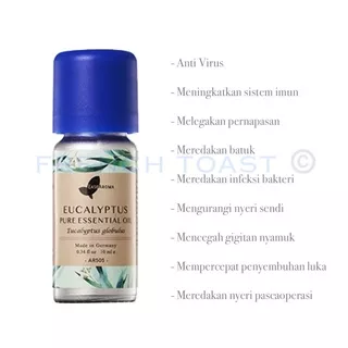 Easecox Eucalyptus Pure Essential Oil / Easecox Easearoma AR005 AR505 Eucalyptus