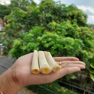 Once Duyung / Pipa Rokok Iga Duyung Asli / Once Iga Duyung Asli / Pipa Iga Duyung Murah /