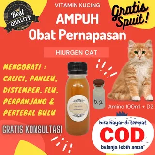 Kucing Vitamin Kucing Obat Kucing Cat Food Kucing Persia Makanan Kucing Kucing Angora Flu Kucing