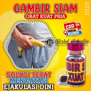 Obat Kuat Tahan Lama OLES Gambir Siam / Gambir Serawak Original Asli Kalimantan