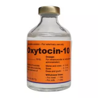 Obat rangsang Kelahiran Hewan / Oxytocin / INTRACIN injek 50 ml