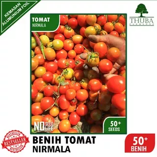 50 Biji - Benih Tomat NIRMALA - Bibit Tomat Buah