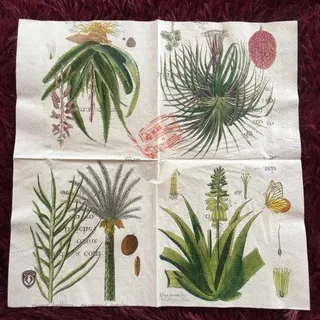 Decoupage napkins / Tisu decoupage 33x33cm motif tanaman lidah buaya