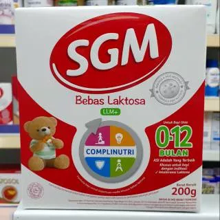 SGM LLM