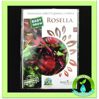 Benih ROSELLA Merah Herbs Herbal Maica Leaf 1 Pack 10 Seeds Butir