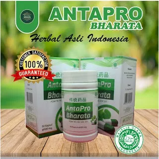 Obat Stroke Herbal Paling Ampuh Antapro Bharata 100% Produk Original - Obat Stroke Ringan & Berat