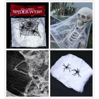 Sarang Laba Laba Jaring Laba Laba Spider Web Horor Halloween