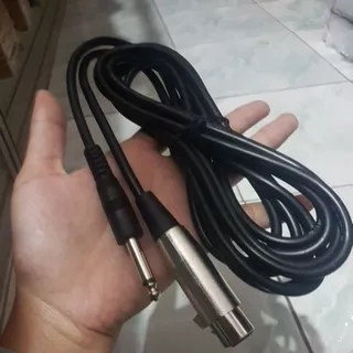 kabel mic