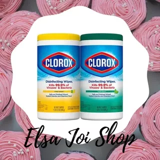 Clorox Disinfecting Wipes ISI 85 - SERIES