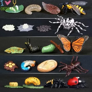 OKDEALS Kids Toy Animals Growth Cycle Butterfly Ladybug Model Simulation Early Education Life Cycle Kindergarten Teaching Chicken Dragonfly Figurine