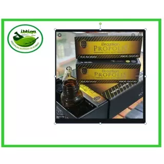 Propolis Brazilian Nano Mint Kualitas Premium Asli Dan Murah 1 Box 5 botol