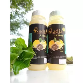 RADJA LEMON NK | RADJA LEMON | AIR LEMON