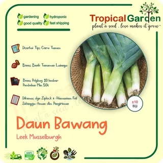 ? Tropical Garden ? Benih Daun Bawang Leek Biji Daun Bawang Besar COD ?