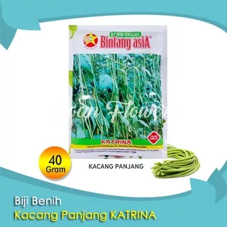 Benih Tanaman Sayuran Benih Sayuran Benih Sayur KACANG PANJANG KATRINA