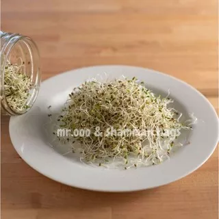 Microgreens Alfalfa Organik Sprout - 50 Gram - Repack Benih USA