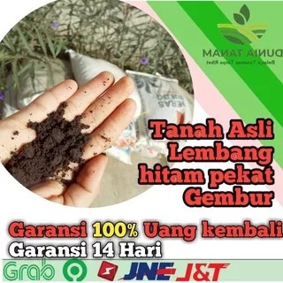 TANAH media tanam tanah lembang Asli bandung Padat Gembur subur humus organik trubus 2264