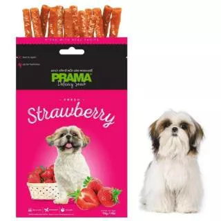 PRAMA Delicacy Snack Fresh Strawberry For Dog