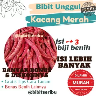 Bibit Kacang Merah Benih Kacang Merah, Benih Seribuan, Bibit Seribuan, Benih Sayuran, Bibit Sayuran