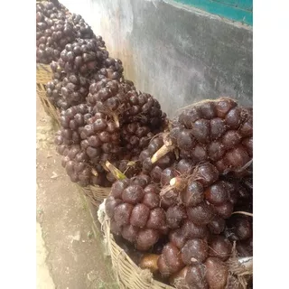 Salak Pondoh Manis 1 kg Salak Pondoh Petani Salak Murah salak grosir