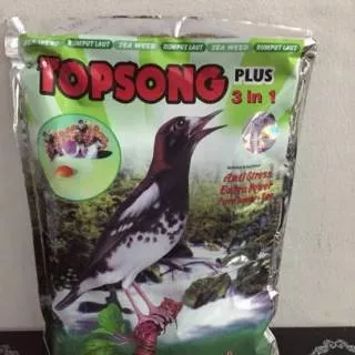 Topsong Plus 3 in 1 Hijau 450gram