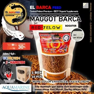 El Barca MAGGOT BSF GRADE A++ RED YELLOW Booster Untuk Ikan Channa Arowana Louhan Koi Oscar Pbass Predator El Barca Feed Store Aquamarine Fish