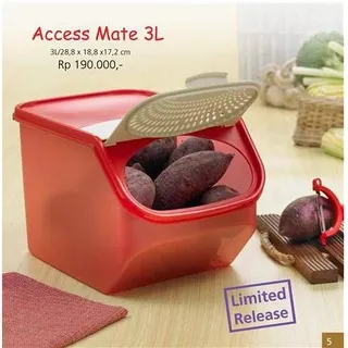 ACCESS MATE 3L