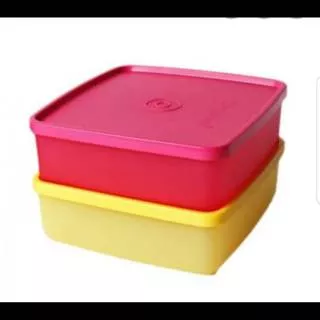 Large square away tupperware