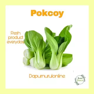 Pokcoy segar 250gr - 1kg