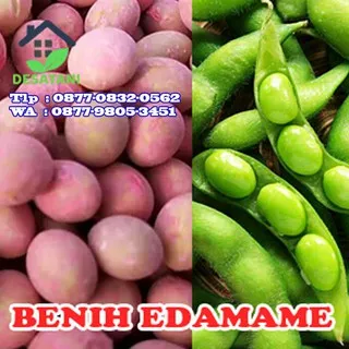 Benih Kedelai Edamame 1 kg