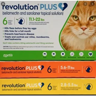REVOLUTION PLUS CAT (HARGA UNTUK 1 TUBE) - OBAT KUTU KUCING REVOLUTION - Orange